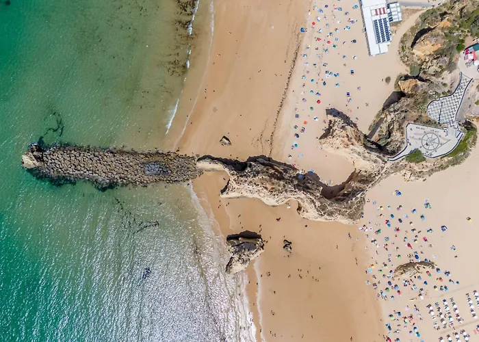 Sol & Rocha Prime 203 Apartment *